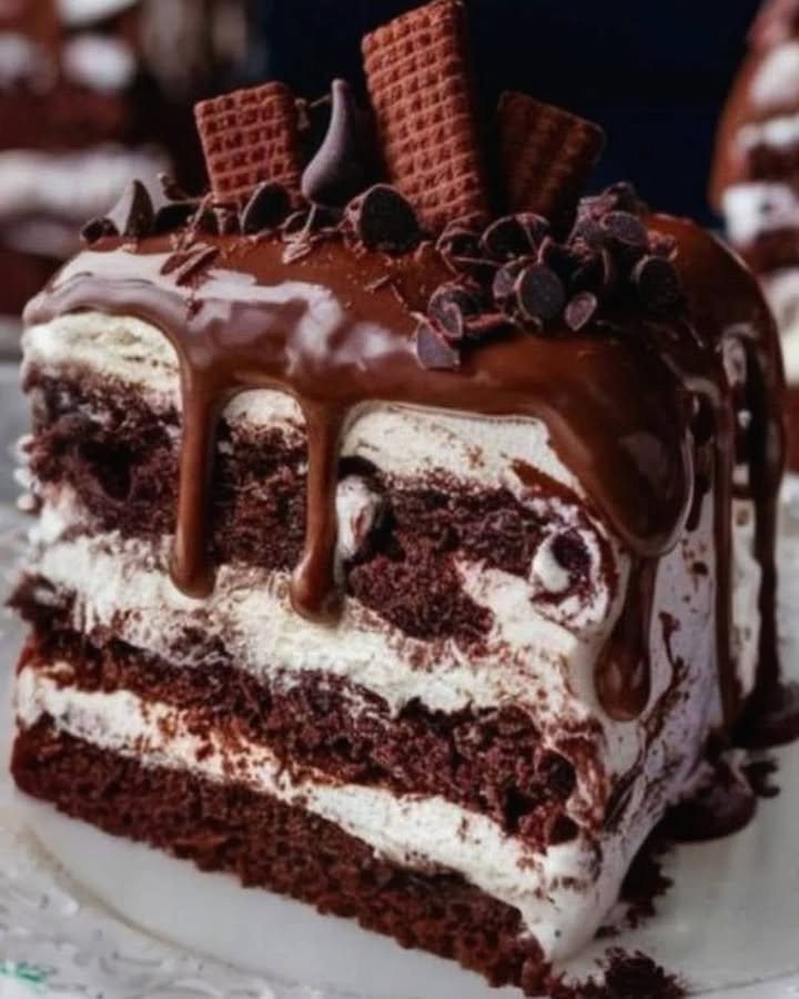 Decadent No-Bake Chocolate Delight