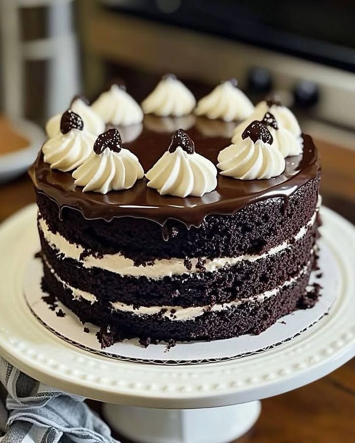 Irresistible Black Velvet Cake Delight